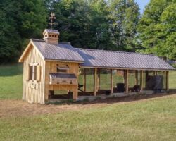 Premium Chicken Coop