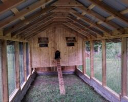 Oops.. photo before battens installed, windows, entry, ramp brings the chickens out to grass floor.